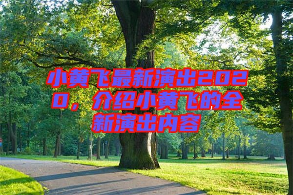 小黃飛最新演出2020，介紹小黃飛的全新演出內(nèi)容