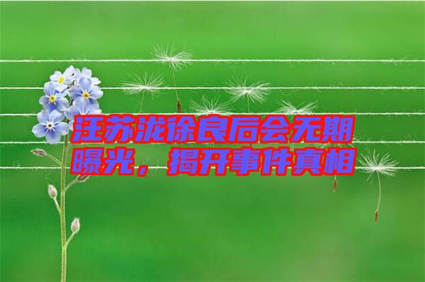 汪蘇瀧徐良后會無期曝光，揭開事件真相