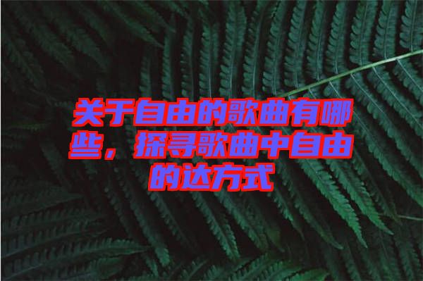 關(guān)于自由的歌曲有哪些，探尋歌曲中自由的達(dá)方式