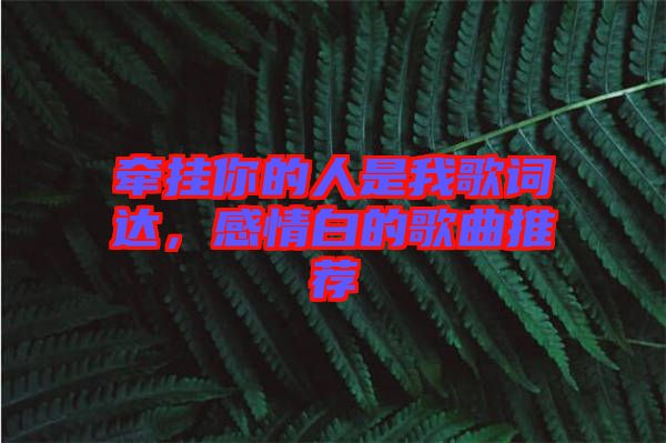 牽掛你的人是我歌詞達(dá)，感情白的歌曲推薦