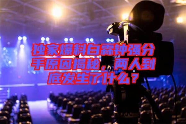 獨家爆料白霖鐘強分手原因揭秘，兩人到底發(fā)生了什么？