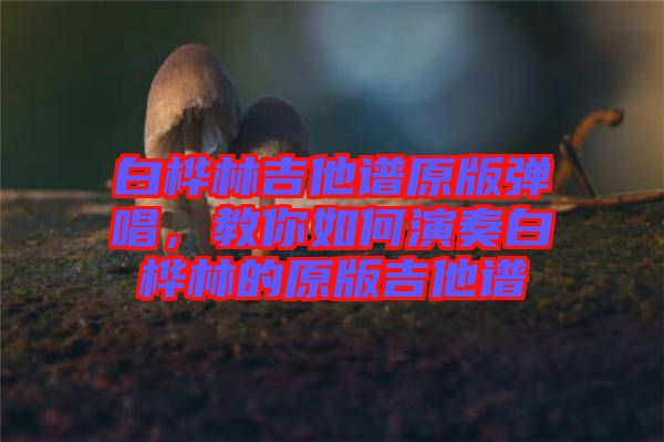白樺林吉他譜原版彈唱，教你如何演奏白樺林的原版吉他譜