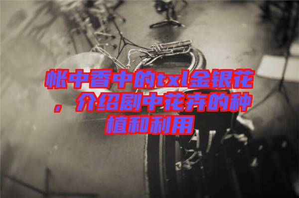 帳中香中的txl金銀花，介紹劇中花卉的種植和利用