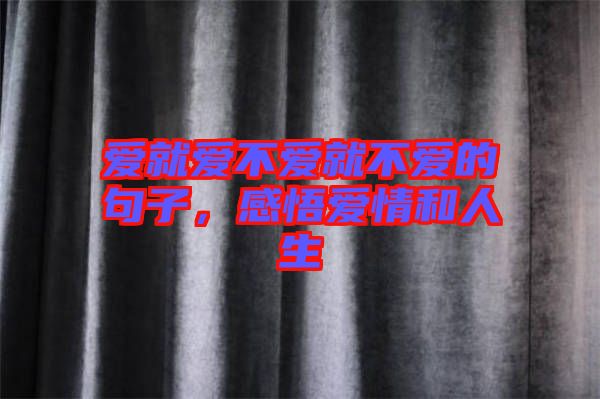 愛就愛不愛就不愛的句子，感悟愛情和人生