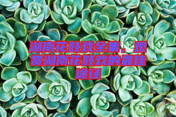 湖南花鼓戲全集，觀賞湖南花鼓戲的最佳途徑