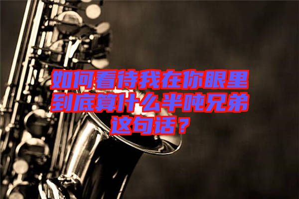 如何看待我在你眼里到底算什么半噸兄弟這句話？
