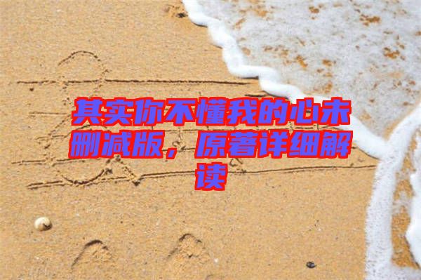 其實你不懂我的心未刪減版，原著詳細(xì)解讀