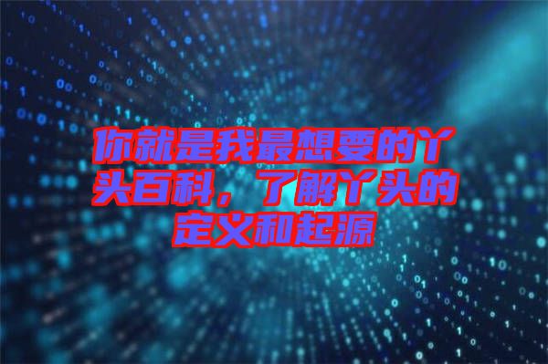 你就是我最想要的丫頭百科，了解丫頭的定義和起源