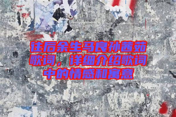 往后余生馬良孫茜茹歌詞，詳細介紹歌詞中的情感和寓意
