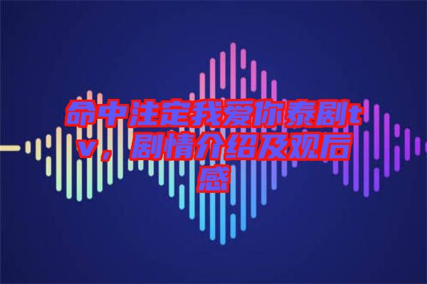 命中注定我愛你泰劇tv，劇情介紹及觀后感