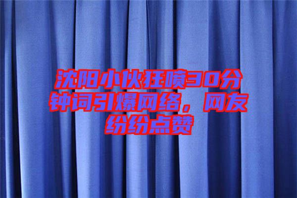 沈陽(yáng)小伙狂噴30分鐘詞引爆網(wǎng)絡(luò)，網(wǎng)友紛紛點(diǎn)贊