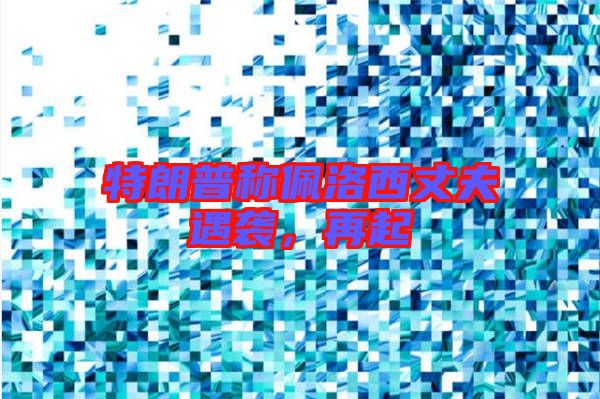特朗普稱佩洛西丈夫遇襲，再起