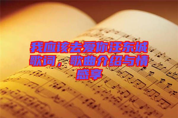 我應(yīng)該去愛你汪東城歌詞，歌曲介紹與情感享