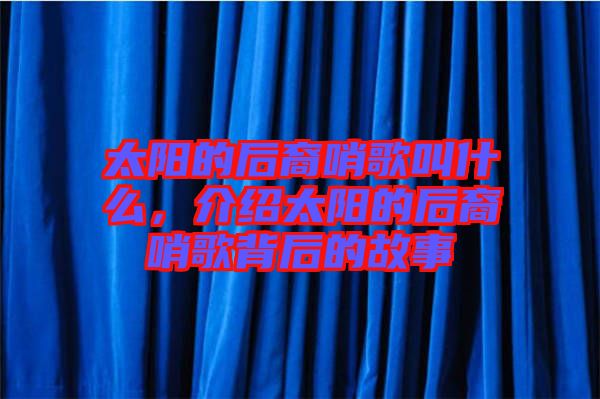 太陽的后裔哨歌叫什么，介紹太陽的后裔哨歌背后的故事