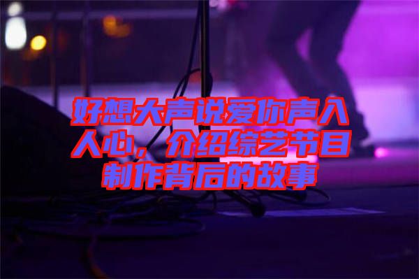 好想大聲說愛你聲入人心，介紹綜藝節(jié)目制作背后的故事