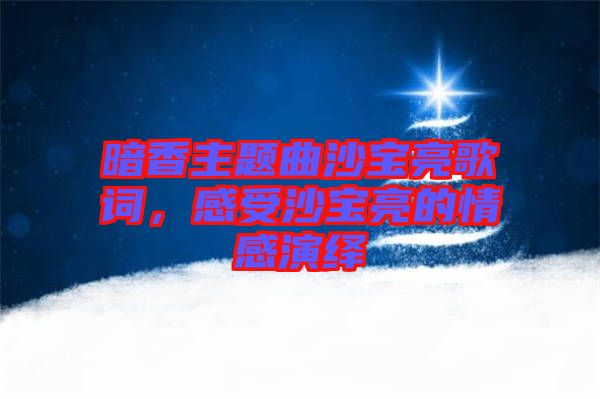 暗香主題曲沙寶亮歌詞，感受沙寶亮的情感演繹