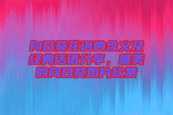 向日葵花語的含義及經(jīng)典話語分享，唯美的向日葵圖片欣賞