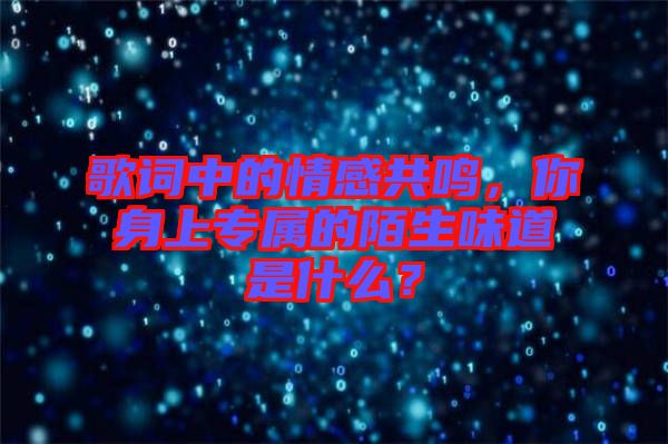 歌詞中的情感共鳴，你身上專屬的陌生味道是什么？