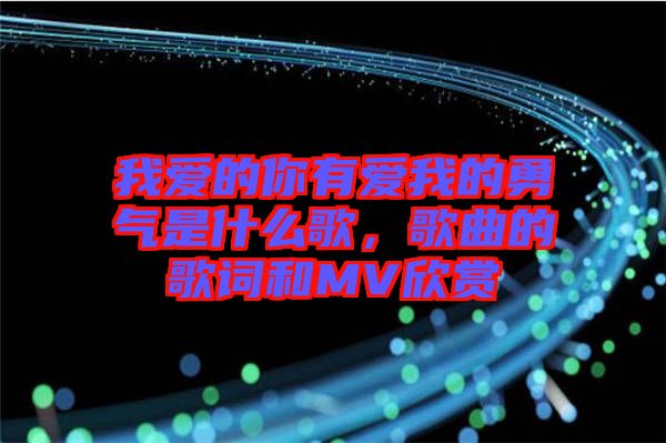 我愛的你有愛我的勇氣是什么歌，歌曲的歌詞和MV欣賞