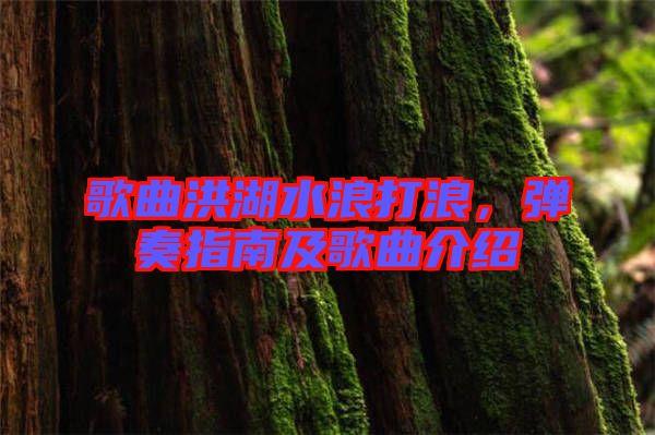 歌曲洪湖水浪打浪，彈奏指南及歌曲介紹