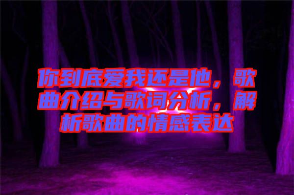 你到底愛我還是他，歌曲介紹與歌詞分析，解析歌曲的情感表達(dá)