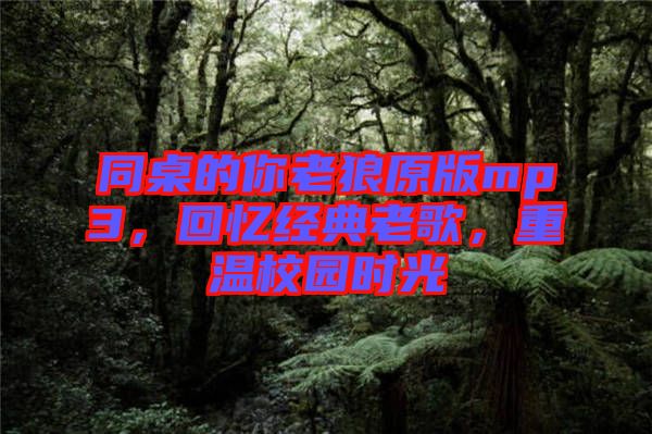 同桌的你老狼原版mp3，回憶經典老歌，重溫校園時光