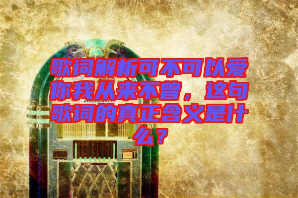 歌詞解析可不可以愛你我從來不曾，這句歌詞的真正含義是什么？