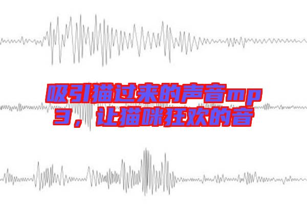 吸引貓過來的聲音mp3，讓貓咪狂歡的音