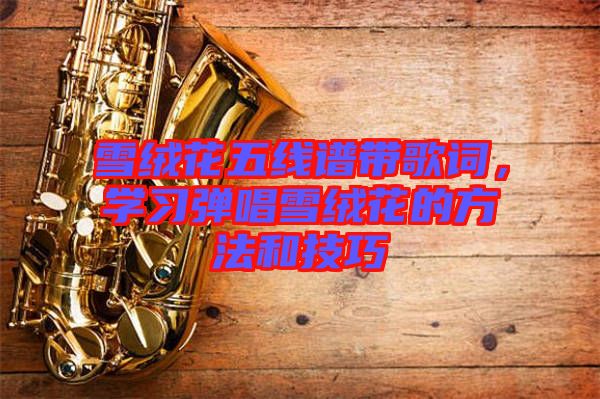 雪絨花五線譜帶歌詞，學(xué)習(xí)彈唱雪絨花的方法和技巧