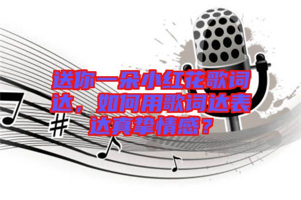 送你一朵小紅花歌詞達，如何用歌詞達表達真摯情感？