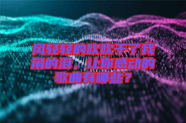 風(fēng)輕輕的吹吹干了我角的淚，讓你感動(dòng)的歌曲有哪些？