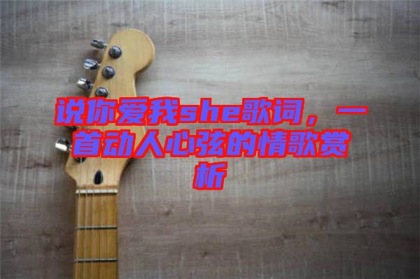 說你愛我she歌詞，一首動人心弦的情歌賞析