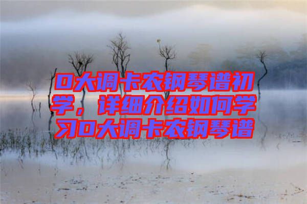 D大調(diào)卡農(nóng)鋼琴譜初學(xué)，詳細(xì)介紹如何學(xué)習(xí)D大調(diào)卡農(nóng)鋼琴譜