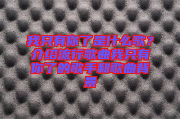 我只有你了是什么歌？介紹流行歌曲我只有你了的歌手和歌曲背景