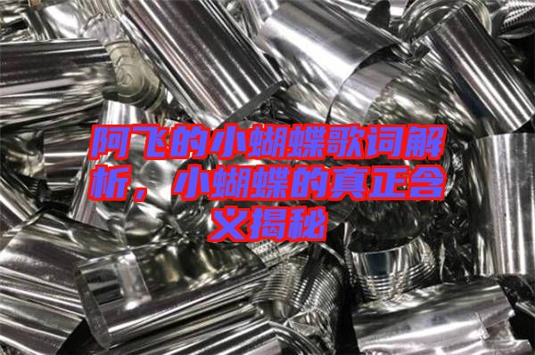 阿飛的小蝴蝶歌詞解析，小蝴蝶的真正含義揭秘