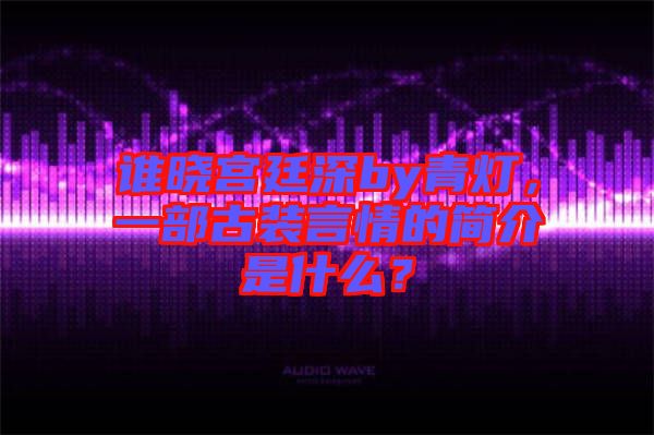 誰(shuí)曉宮廷深by青燈，一部古裝言情的簡(jiǎn)介是什么？