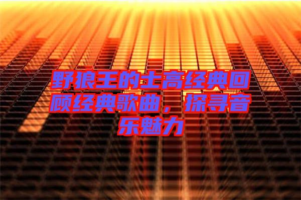 野狼王的士高經(jīng)典回顧經(jīng)典歌曲，探尋音樂魅力
