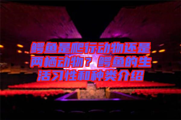 鱷魚是爬行動物還是兩棲動物？鱷魚的生活習(xí)性和種類介紹