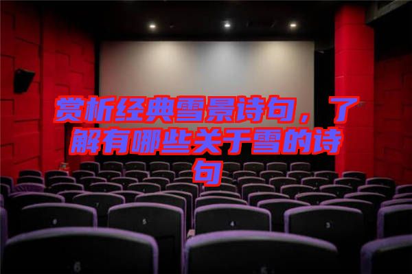 賞析經(jīng)典雪景詩(shī)句，了解有哪些關(guān)于雪的詩(shī)句