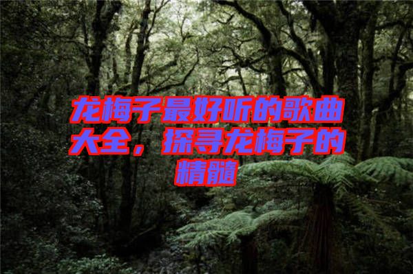 龍梅子最好聽的歌曲大全，探尋龍梅子的精髓
