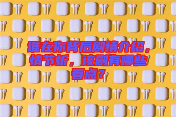 誰在你背后劇情介紹，情節(jié)析，該劇有哪些看點？
