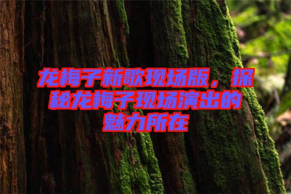 龍梅子新歌現(xiàn)場(chǎng)版，探秘龍梅子現(xiàn)場(chǎng)演出的魅力所在