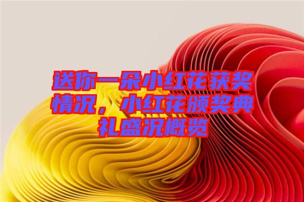 送你一朵小紅花獲獎(jiǎng)情況，小紅花頒獎(jiǎng)典禮盛況概覽