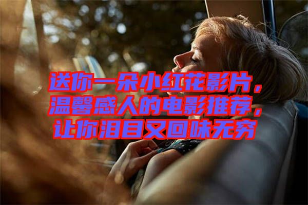 送你一朵小紅花影片，溫馨感人的電影推薦，讓你淚目又回味無窮
