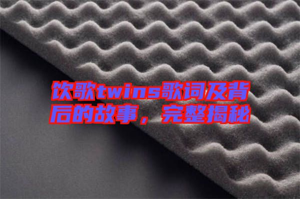 飲歌twins歌詞及背后的故事，完整揭秘