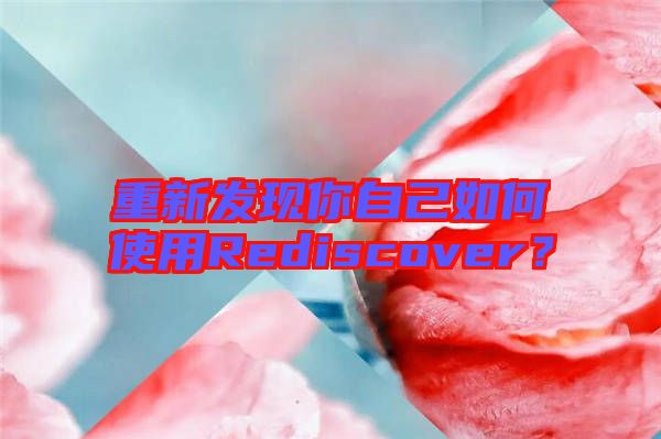 重新發(fā)現(xiàn)你自己如何使用Rediscover？