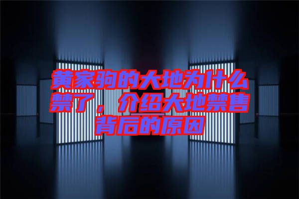 黃家駒的大地為什么禁了，介紹大地禁售背后的原因