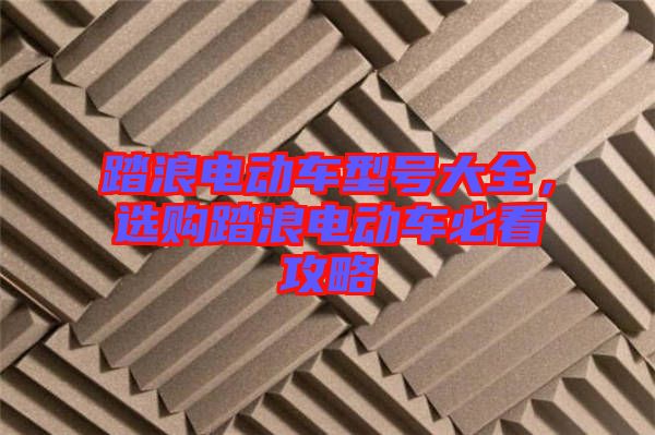 踏浪電動車型號大全，選購踏浪電動車必看攻略