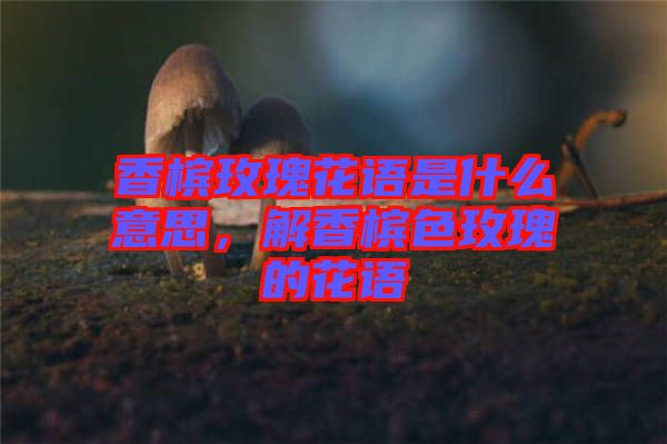香檳玫瑰花語是什么意思，解香檳色玫瑰的花語