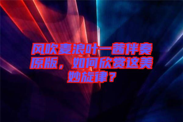 風(fēng)吹麥浪葉一茜伴奏原版，如何欣賞這美妙旋律？